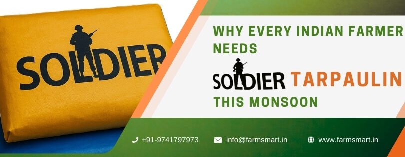 Soldier Tarpaulin